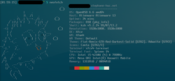 Neofetch vue OpenBSD 6.6
